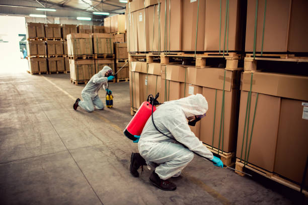 Best Rat Extermination Near Me  in California, PA