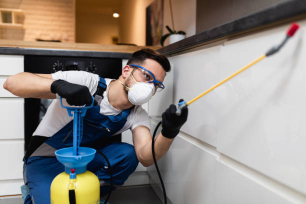 Best Cockroach Control Services  in California, PA