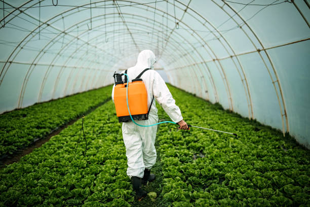 Best Residential Pest Control  in California, PA
