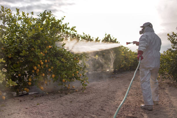 Best Pest Removal Services  in California, PA