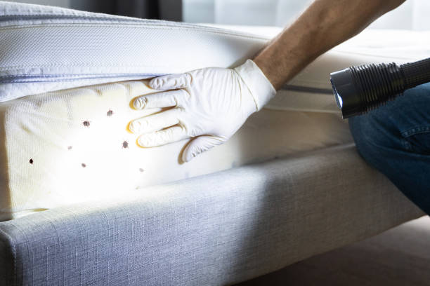Best Residential Pest Control  in California, PA