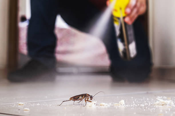 Professional Pest Control in California, PA