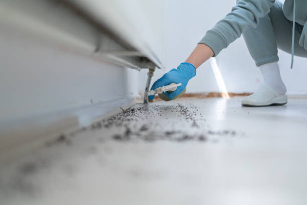 Best Wildlife Control Services  in California, PA